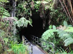 Eingang Thurston Lava Tube im Volcanoes Nationalpark