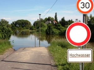 Elbe Hochwasser in Magdeburg